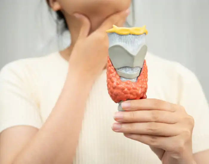 Thyroid Symptoms in Women and Men Guide